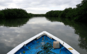 manglares-de-tumbes